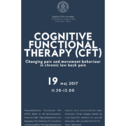 Cognitive Functional Therapy (CFT)