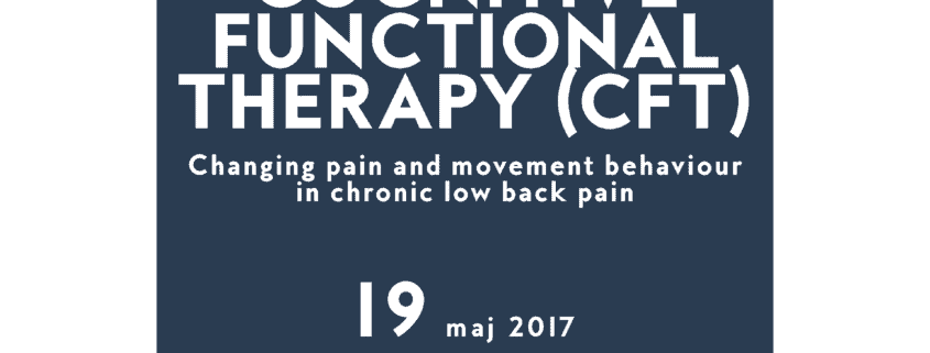 Cognitive Functional Therapy (CFT)